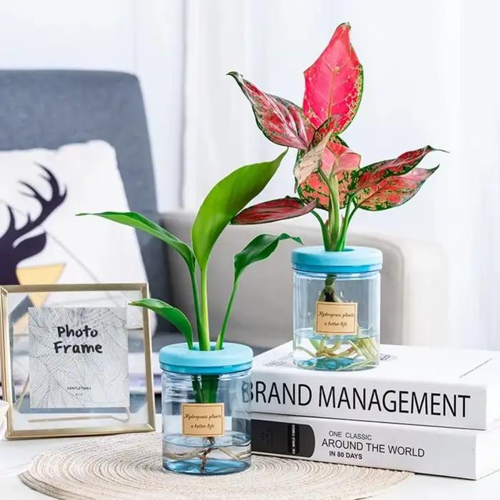 Pot de fleur hydroponique transparent, vase de plantation d'eau, conteneur paresseux, plantes britto