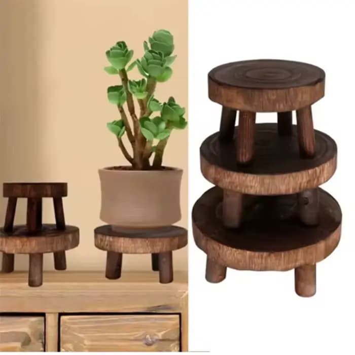 Support de rangement de plantes en bois créatif, vert, Durable, présentoir de pots de fleurs succule