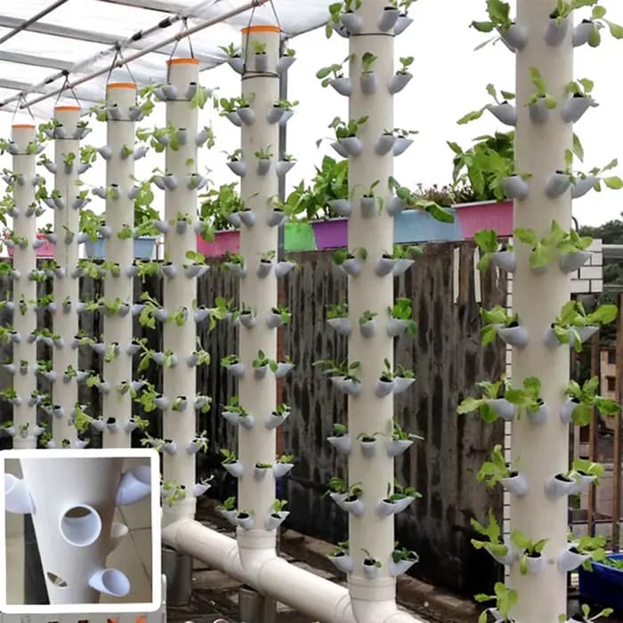 Lita – système de plantation hydroponique pour fruits et légumes, dispositif hydroponique sans sol p