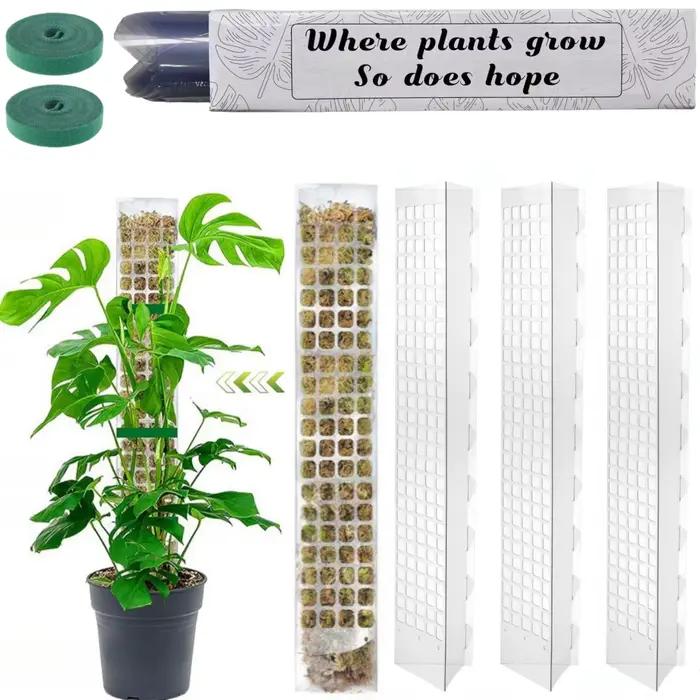 Support de plantes en plastique, poteau de mousse, plantes grimpantes d'intérieur, Tutors garantis,