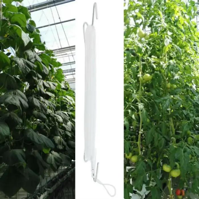 10 pièces serre jardin tomates crochets pinces plantation légumes crochet Support plantes cravates S
