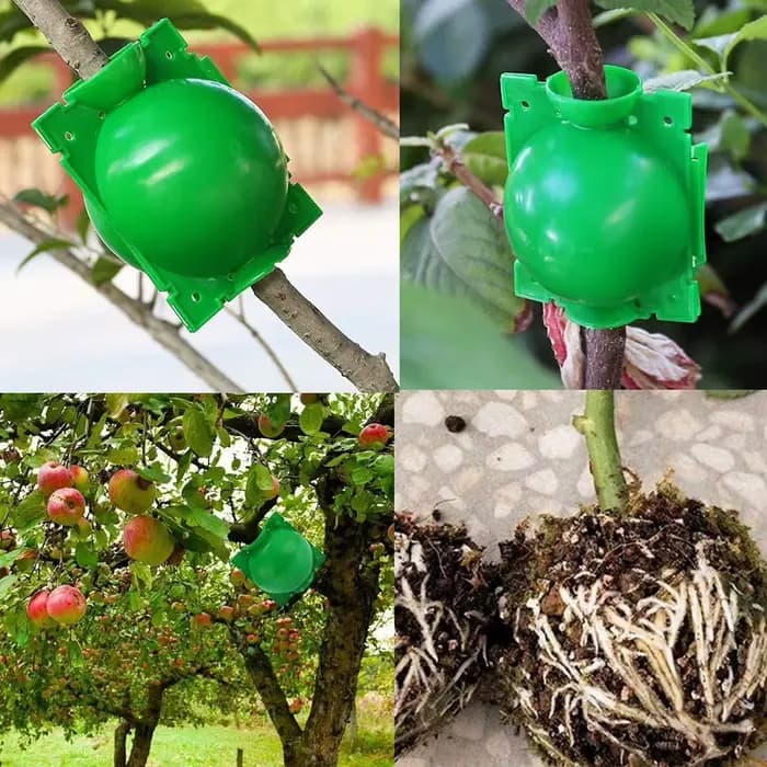 Boule d'enracinement de plantes, boîte d'élevage de greffe à haute pression, boîte de pépinière, Pot