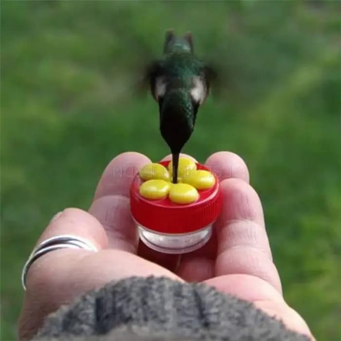 Fleurs Forme Poignée Oiseau Colibri Mangeoire Buveur Plastique Semences Et L'eau Extérieur Fenêtre V