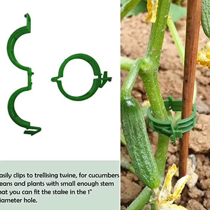 Clips de Support pour plantes, 100 pièces, attaches en plastique, Clips de piquet en treillis, Suppo