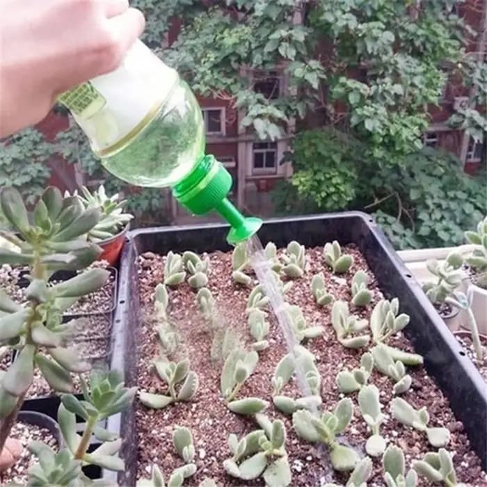 Arroseur de bouchon de bouteille, buses de plantes portables en plastique, pulvérisateur d'arrosage