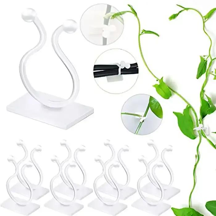 Plante grimpante auto-adhésive mur vignes outils fixation plante fixation murale Clips boucle fixe c