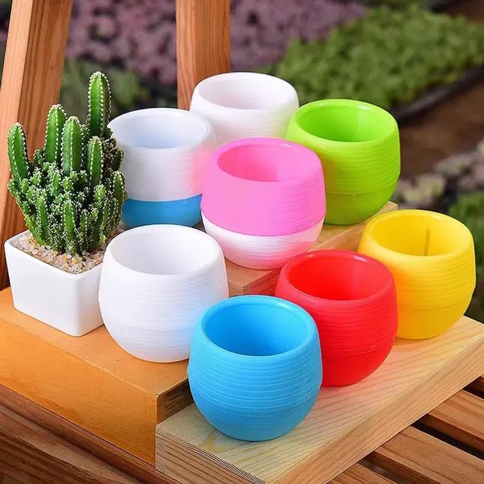 Mini Pots de fleurs pour plantes succulentes, 5/10/20 pièces, petites plantes, jardinières interchan