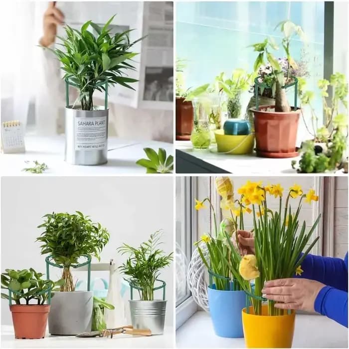 Support en plastique pour plantes, support pour fleurs et serres, outils de jardin