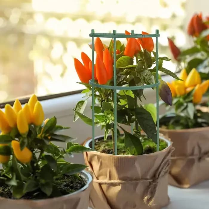 Support en plastique pour plantes, support pour fleurs et serres, outils de jardin