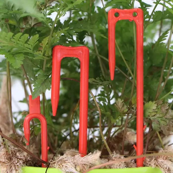 20-50 pièces fraise plantation fourche creuser fourche 50mm 93mm 108mm Stolon fixateur vigne pressag