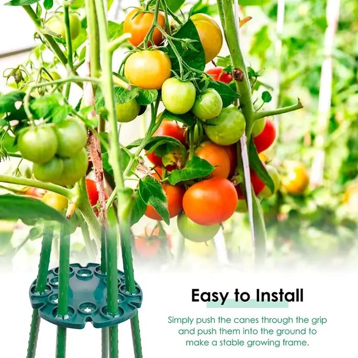 Plateaux de Protection pour plantes de jardin, 5 pièces, Support pour canne en bambou, Support pour