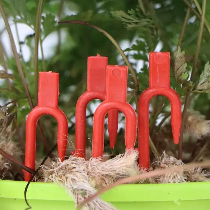20-50 pièces fraise plantation fourche creuser fourche 50mm 93mm 108mm Stolon fixateur vigne pressag