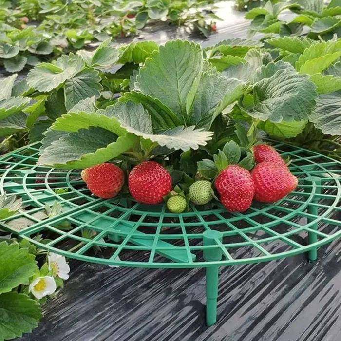 Support de cadre de Support de fraises, Support de plantation de balcon, Support de fruits, plantes,