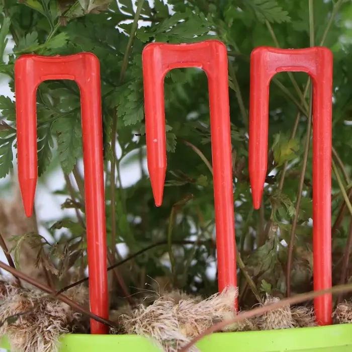 20-50 pièces fraise plantation fourche creuser fourche 50mm 93mm 108mm Stolon fixateur vigne pressag