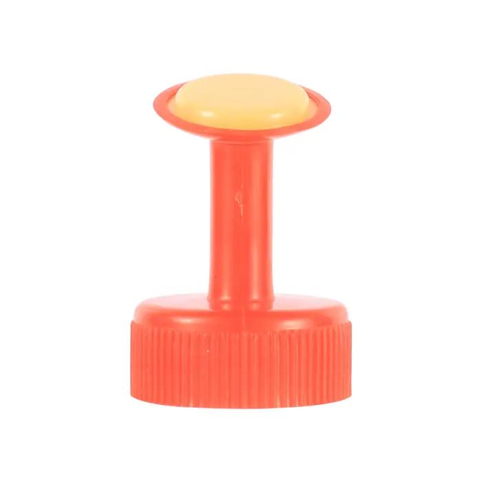 Arroseur de bouchon de bouteille 2 en 1, mini arrosoir de jardin domestique, bec d'eau à double tête