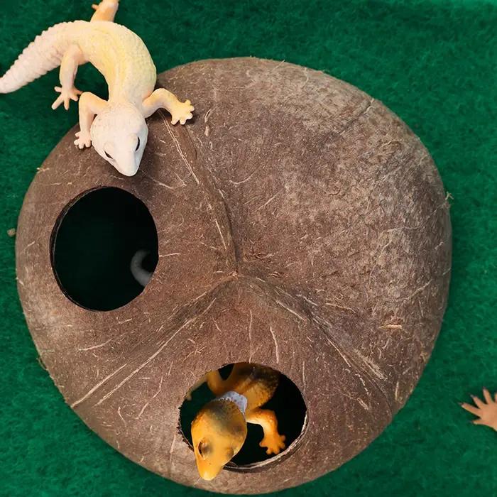 Caverne Naturelle Double Entrée Faite à la Main pour Reptiles : Cachette Décorative pour Tarantules, Caméléons, Gécoques et Petits Animaux Terrestres