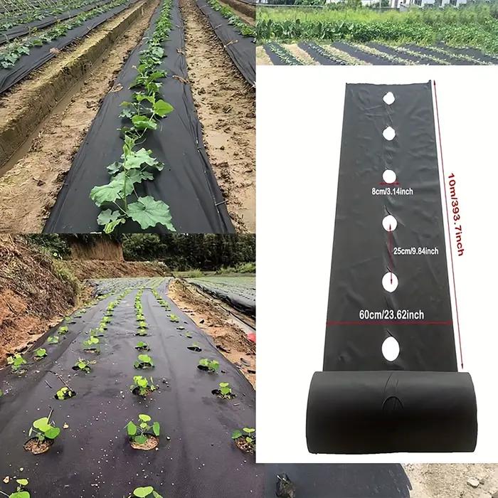 Toile de paillage noire avec trous de plantation