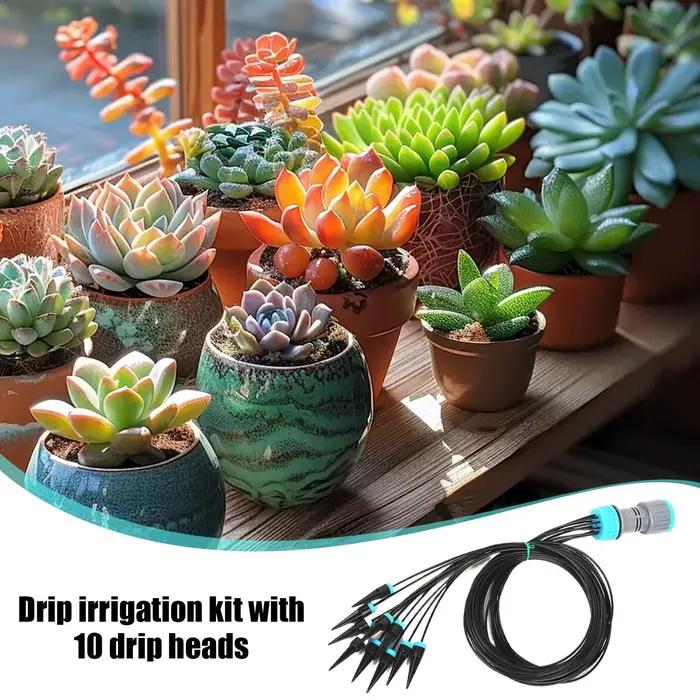 Kit d'irrigation goutte à goutte avec 10 têtes d'irrigation