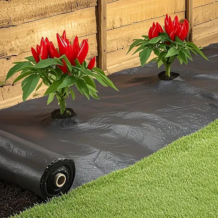 Toile de paillage noire avec trous de plantation