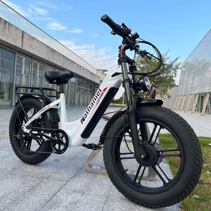 Vélo électrique adulte Nathaniel SYR08, double moteur 2000 W, roue intégrée à gros pneus 20 "* 4.0, 50 km/h, 48 V 20 Ah, vélo de banlieue urbain