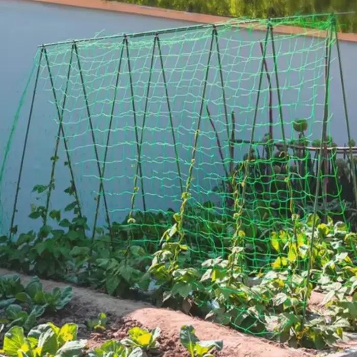 Filet de jardin vert en maille tissée pour protéger les plantes