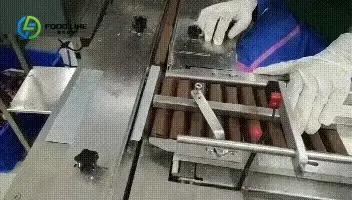 Solutions d'emballage entièrement automatisées Ligne d'emballage en rouleau suisse d'automatisation