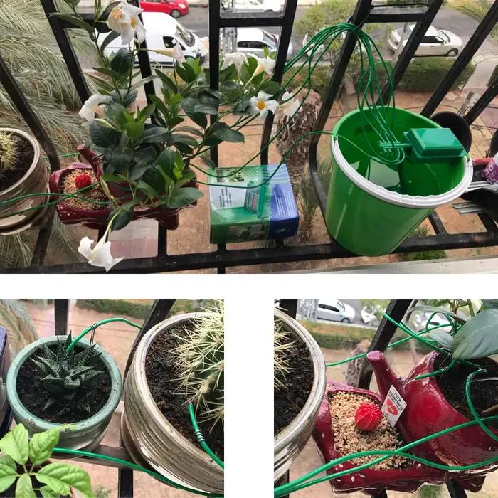 Micro Kits d'irrigation goutte-à-goutte automatique pour la maison