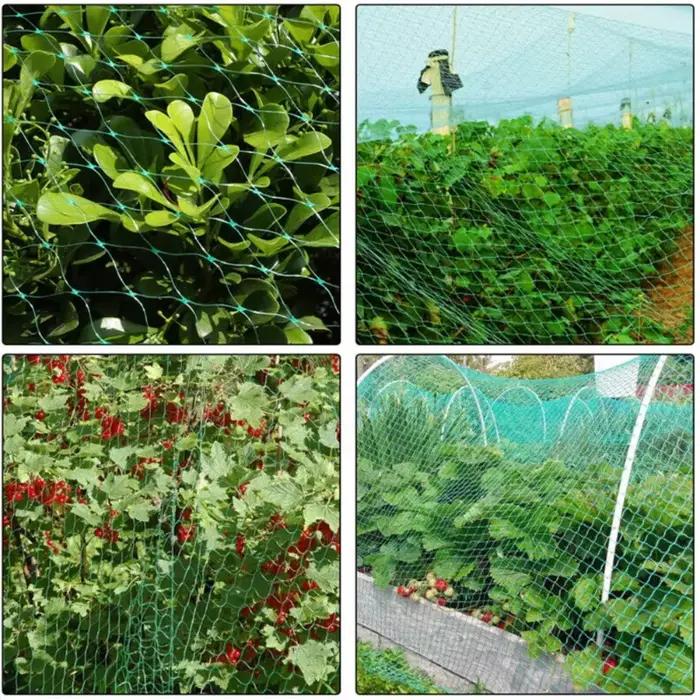 Filet anti-oiseaux pour plantes de jardin