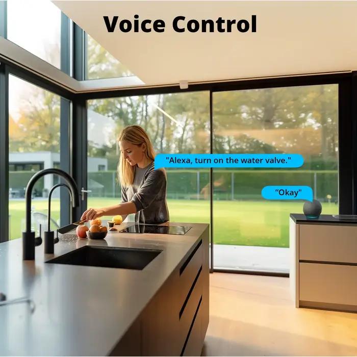 SONOFF SWV vanne d'eau Zigbee robinet contrôleur d'irrigation intelligent système minuterie App commande vocale Via Alexa Google ZHA Ewelink