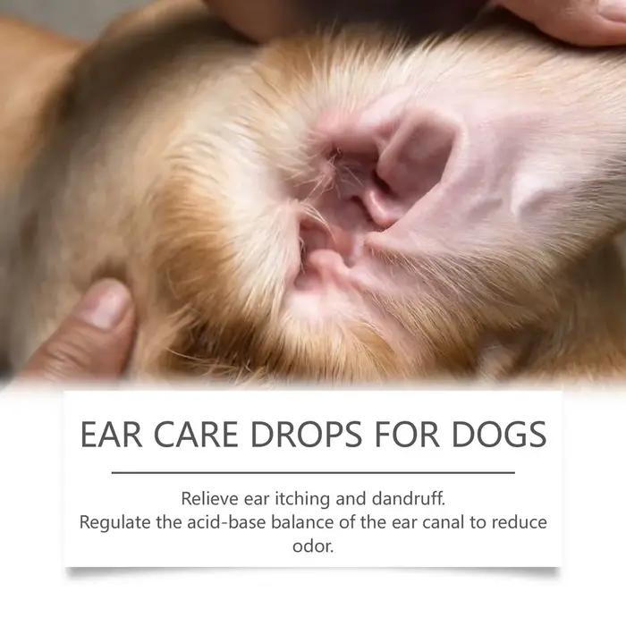 Gouttes de soin des oreilles de chien, liquide de traitement des infections de levure, adapté aux chiens de toutes tailles, 60ml