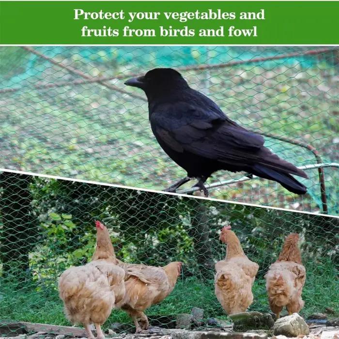 Filet anti-oiseaux pour plantes de jardin