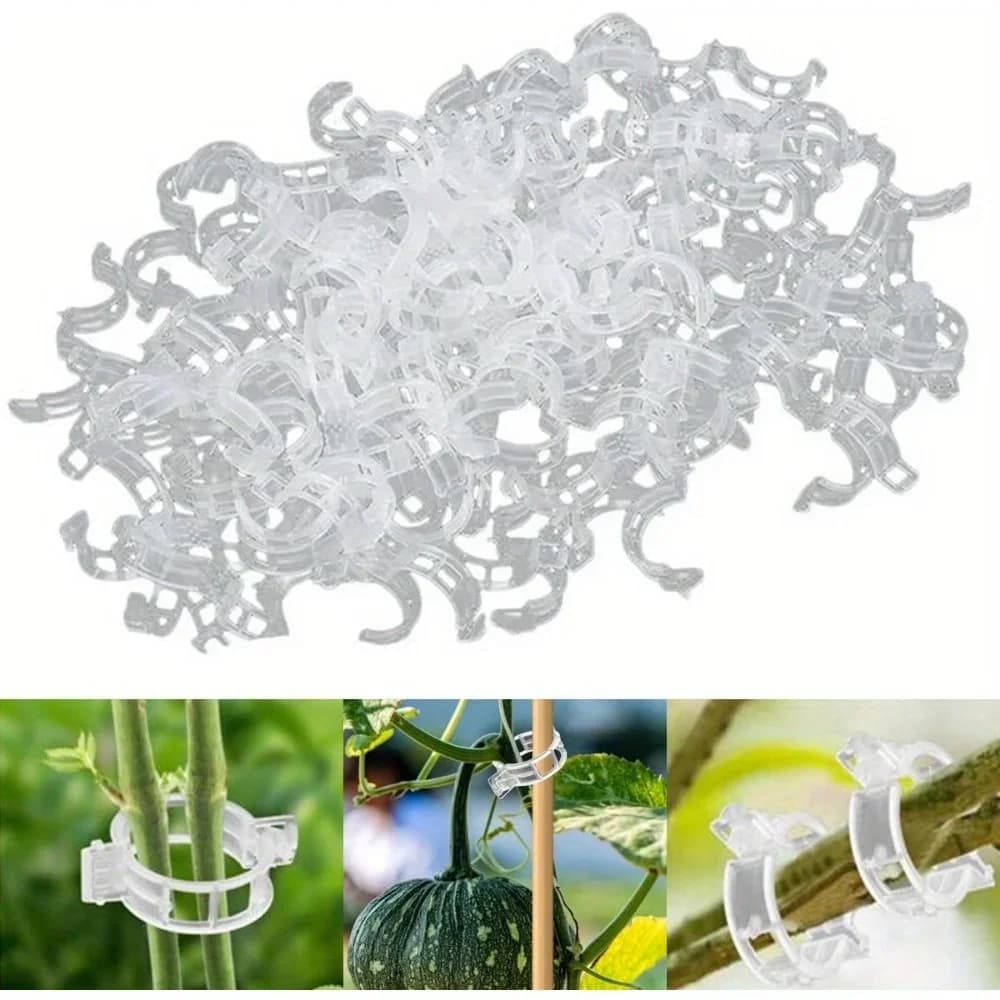Réinitialisation de plante en plastique pour plantes grimpantes, Clips de support de plante, Treilli