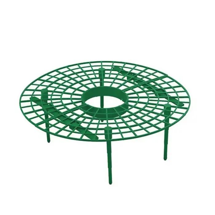 Supports de fraises pour conserver les plantes et les fruits