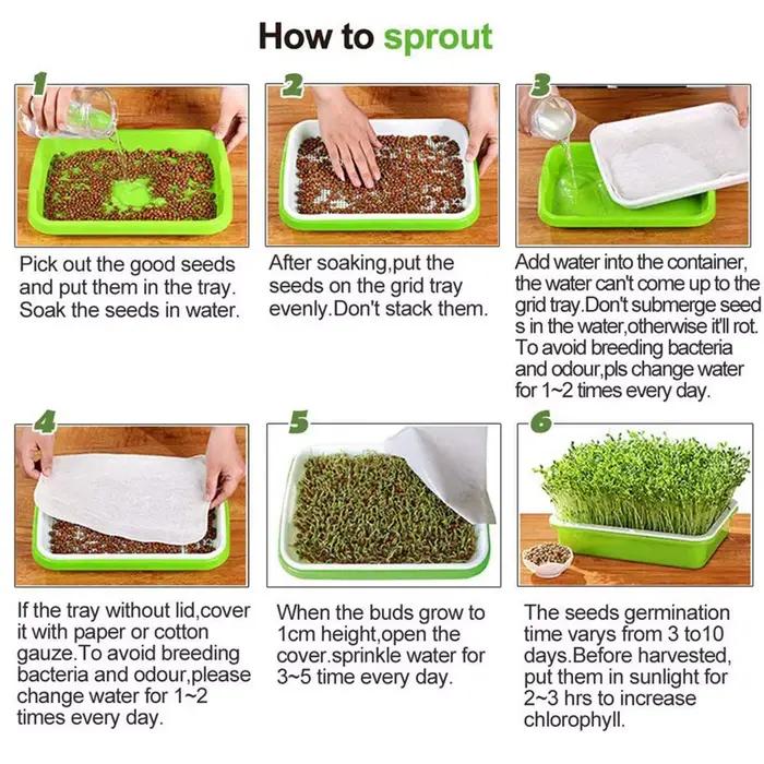 Microgreens plateau hydroponique à 2 couches plateau de germes Anti-piqûres de moustique 33 cm * 26