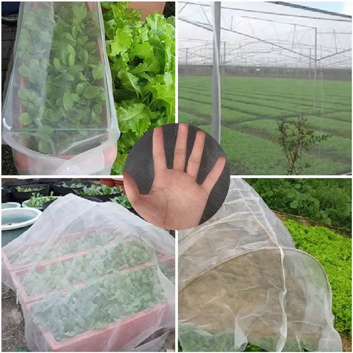 Filet de protection anti-oiseaux pour plantes, protection contre les insectes de jardin, couverture
