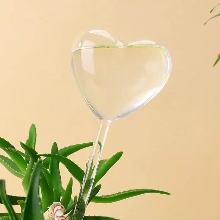 Ampoules d'arrosage automatique pour plantes
