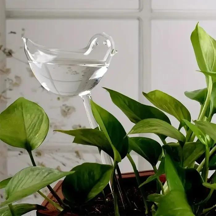 Ampoules d'arrosage automatique pour plantes