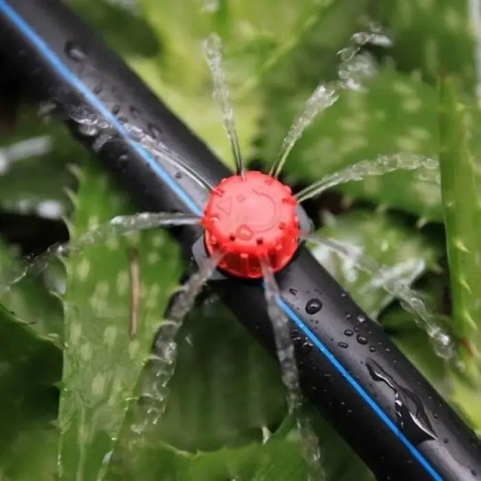 Buse de brumisation pour irrigation de jardin