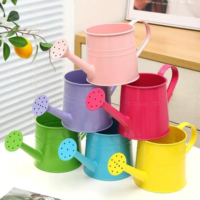 Arrosoir en métal pour jardin