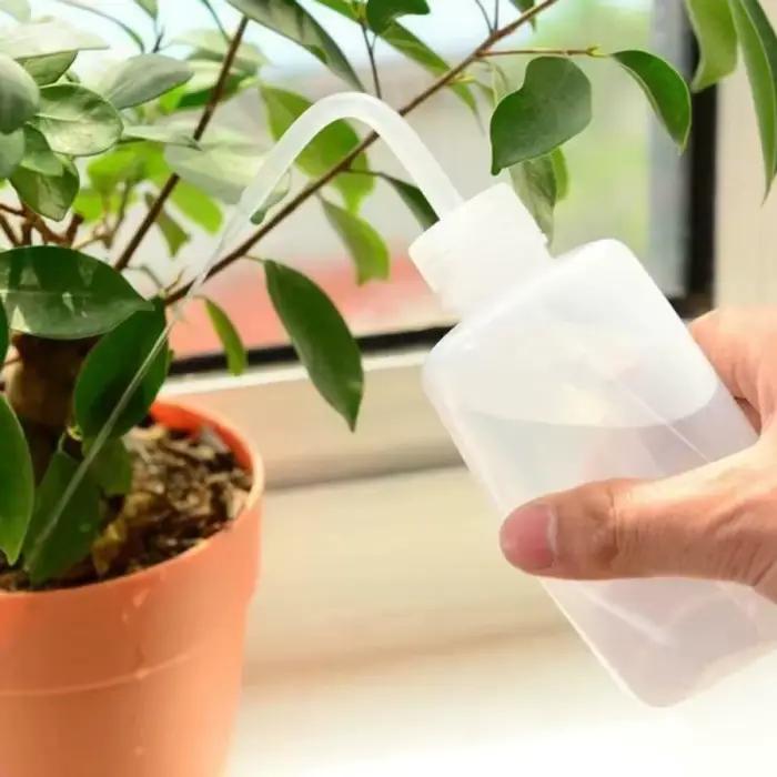Arrosoir bonsaï pour plantes succulentes