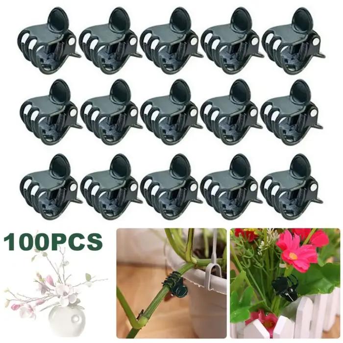 Pinces de support en plastique beige pour orchidées, fleurs, fruits et légumes en jardin occasions spéciales