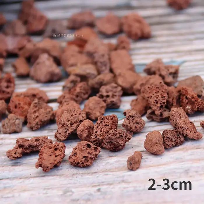 Rocher Volcanique 500g 1000g Pierre Naturelle Pour Aquarium Plantes Succulentes Literie Occasions Spéciales