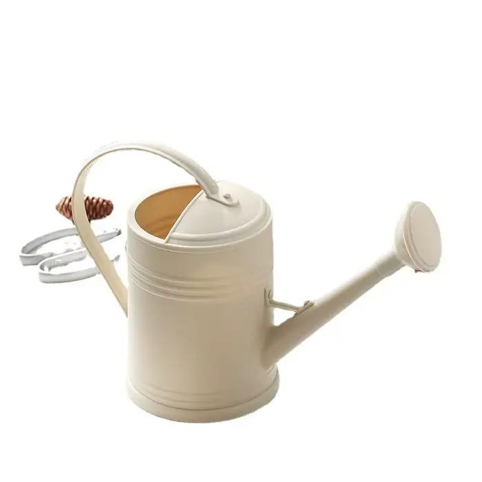Arrosoir à long bec de 2 L pour fleurs