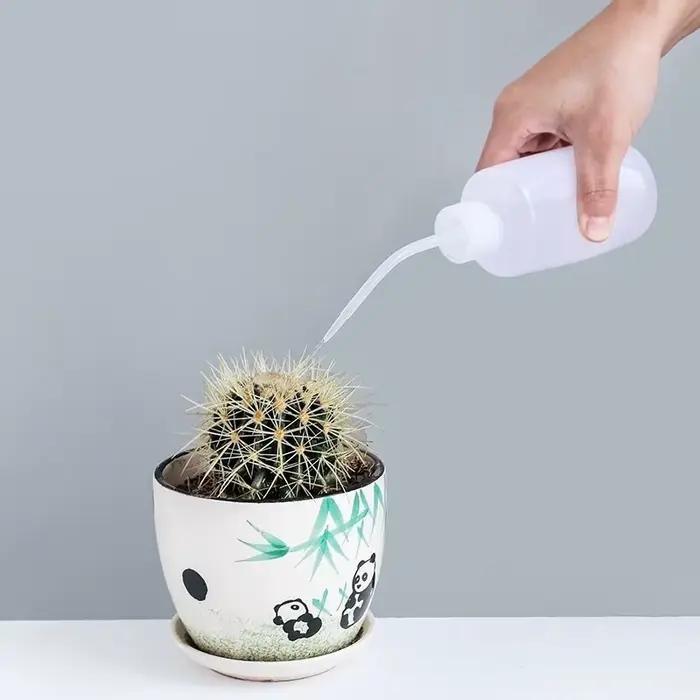 Arrosoir bonsaï pour plantes succulentes