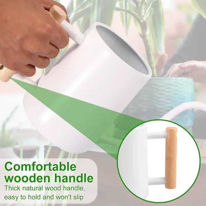 Arrosoir 1L avec manche en bois, Pot d'arrosage en acier inoxydable avec pichet d'arrosage à Long be