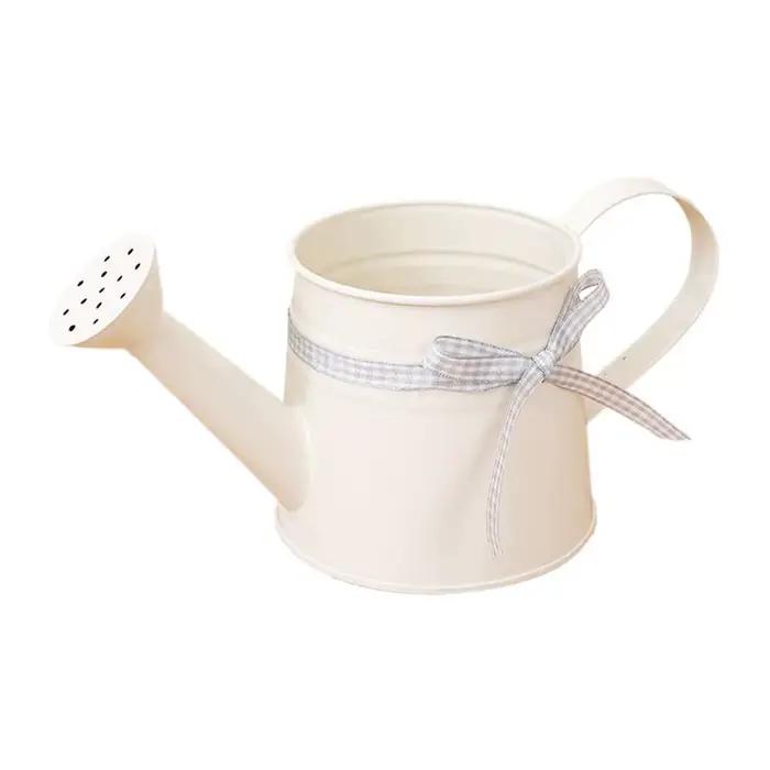 Mini arrosoir 1L en métal avec tête de pulvérisation et ruban à carreaux, arrosoirs modernes pour pl