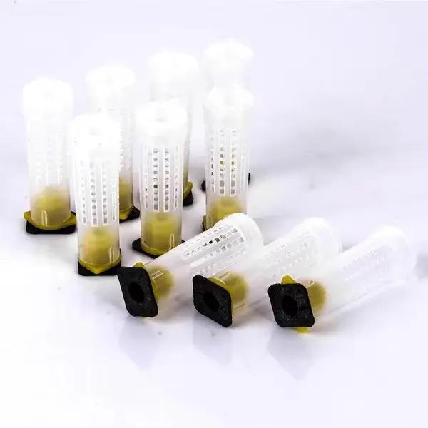 20 pièces reine cage couvercle arrière receveur reine cellules en plastique abeilles boîte cages abe
