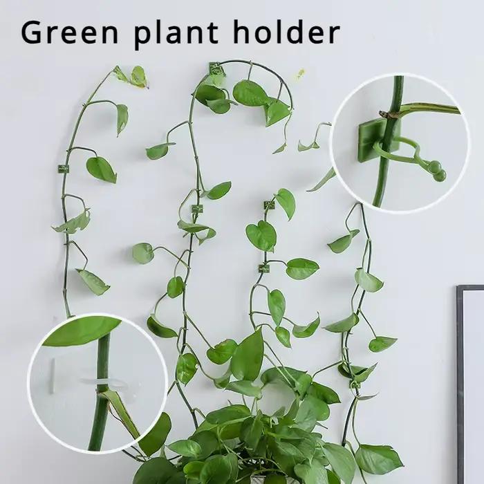 Fixateur de plantes et de plantes vertes, panier vert, vigne grimpante, Style mural suspendu, croche