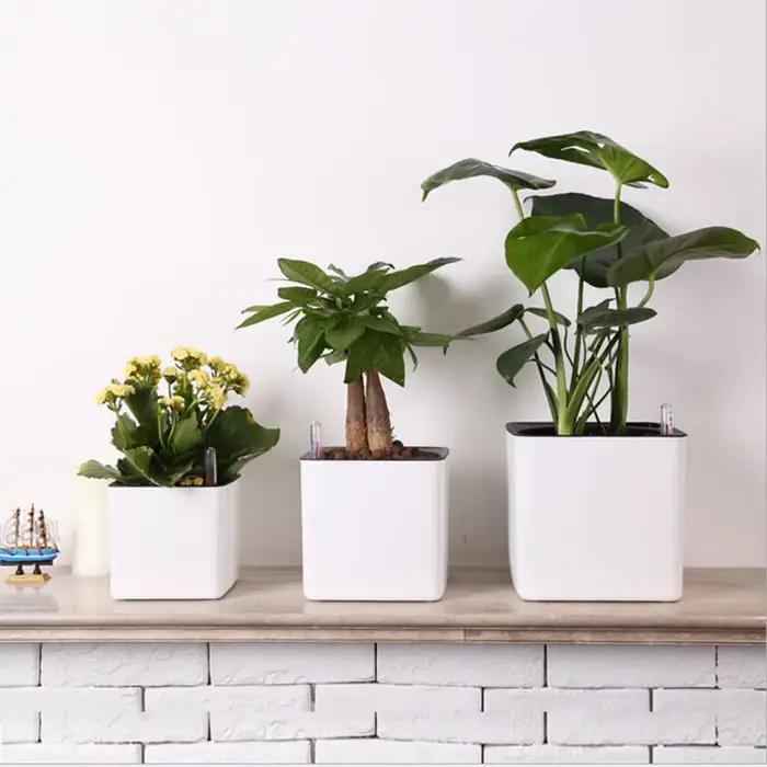 Jardinière blanche à arrosage automatique, indicateur d'eau, Pot de jardinière décoratif moderne pou