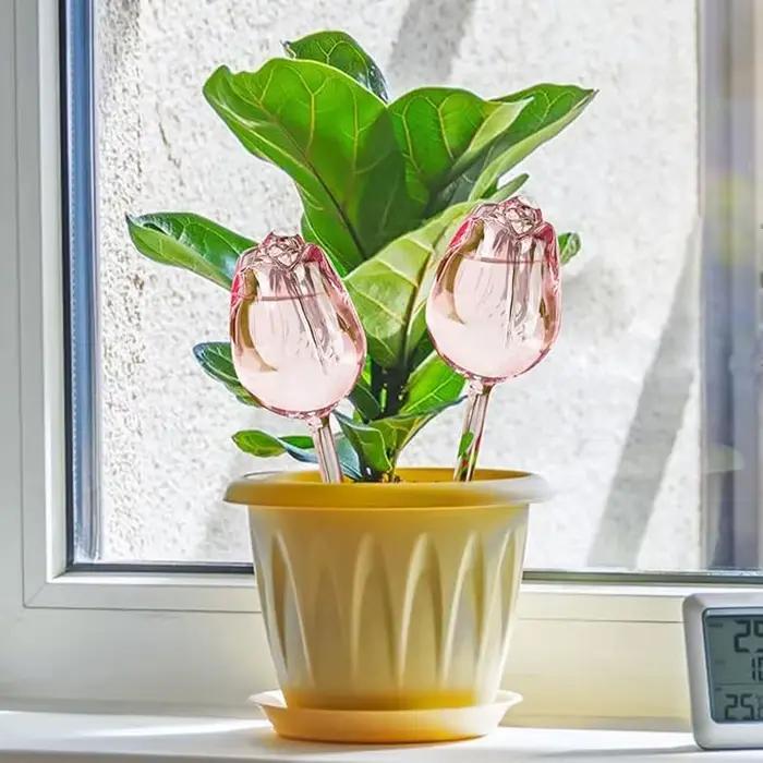 Boule d'arrosage automatique pour plantes de tulipes roses de jardin
